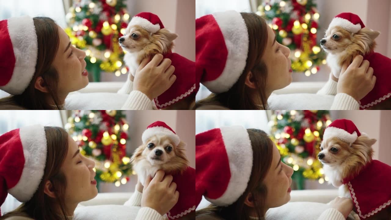 年轻女子在圣诞节在家时带着她的大腿狗