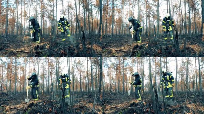 残余森林大火正在由消防员处理