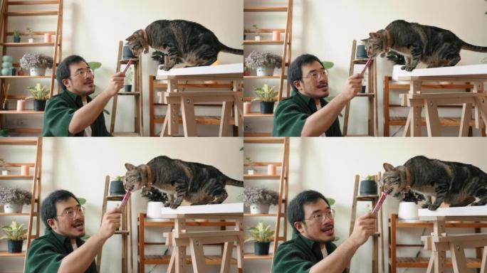 Asian guy即将与一只可爱的猫打开订阅框。
