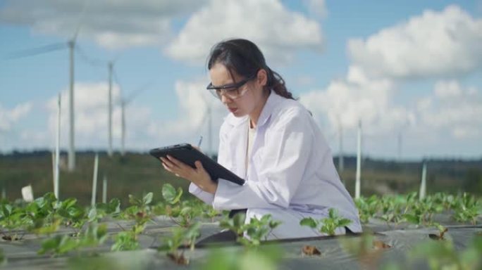 科学家对她农场的植物进行分析