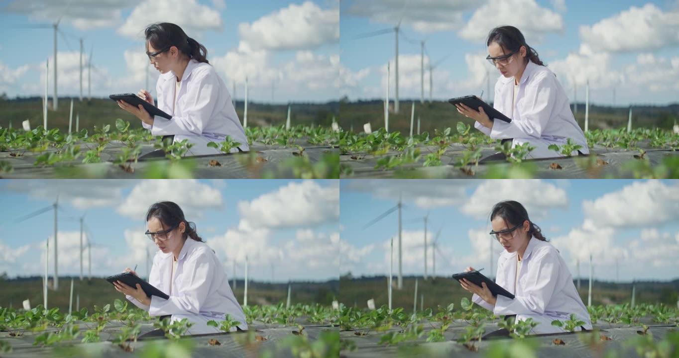 科学家对她农场的植物进行分析
