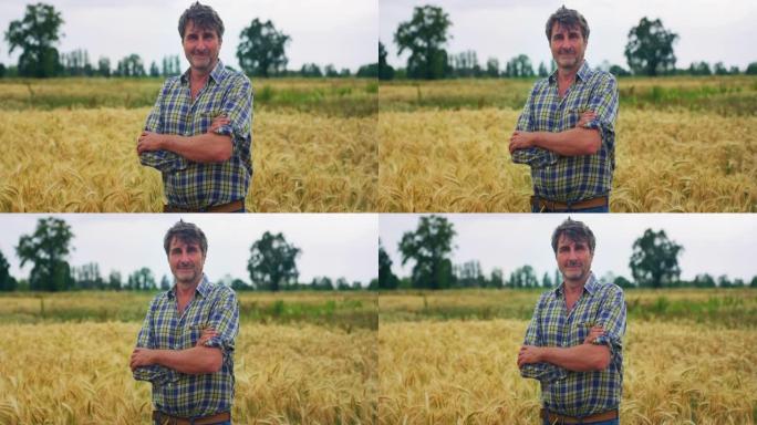 一个成熟的男性农民在镜头前微笑着自豪地在一个用于生物生态的天然谷物种植和有机种植的麦田里工作