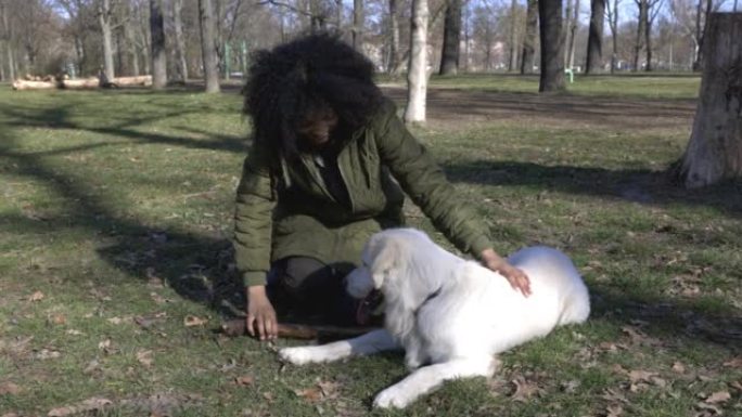 女人爱抚她的宠物拉布拉多犬并在公园玩耍