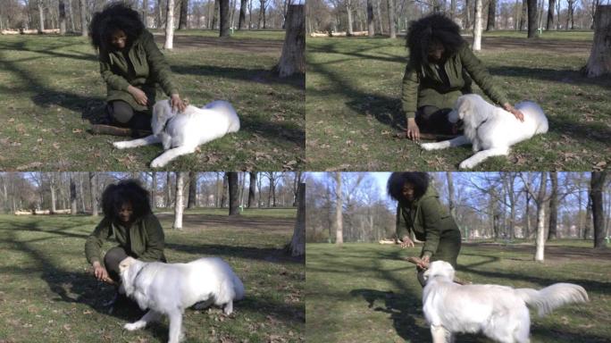 女人爱抚她的宠物拉布拉多犬并在公园玩耍