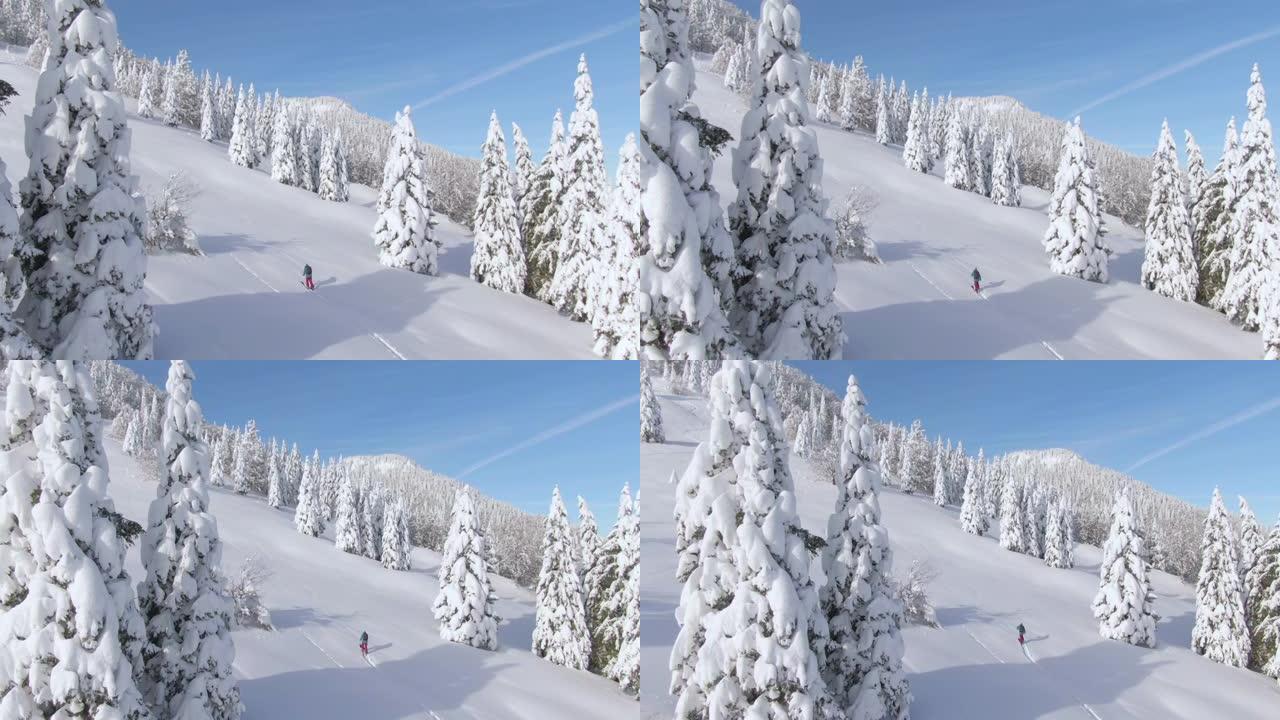 在单板滑雪旅行中，空中年轻的女性游客雪鞋在雪山上