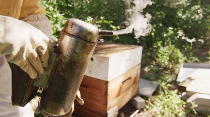 穿着防护服的高加索男性养蜂人使用吸烟者在蜂箱中镇定蜜蜂