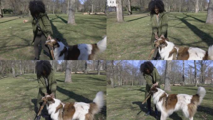 女人和她的宠物牧羊犬在公园玩耍