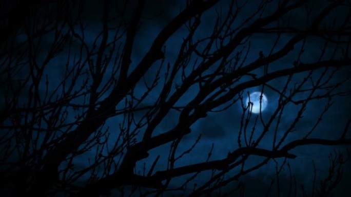 雷击和光秃秃的树枝后面的月亮