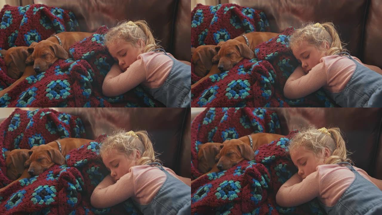一个可爱的小女孩在家和她的脊背小狗小睡的4k视频片段