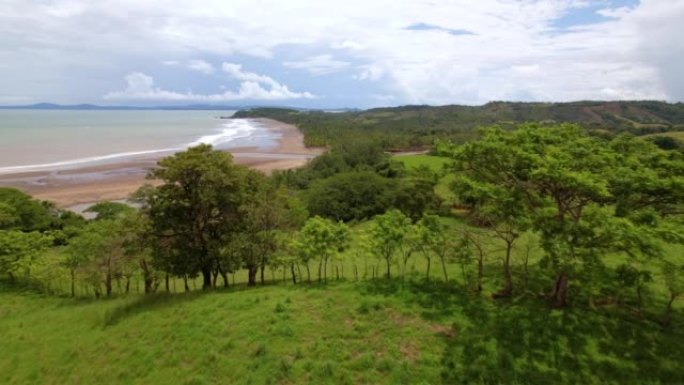 空中: 飞越热带海洋海滩附近的绿色草地