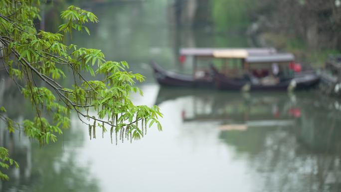 杭州春天阴雨天小河上的游船自然唯美