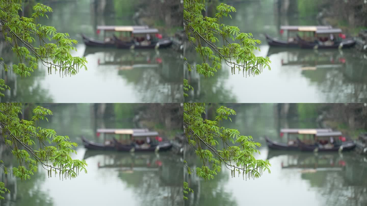 杭州春天阴雨天小河上的游船自然唯美