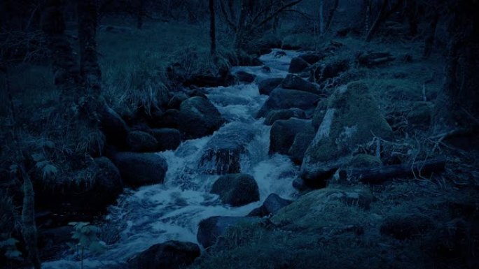 晚上穿过树林的河流