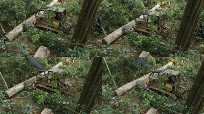 空中。推土机在茂密的灌木丛中操纵热带雨林中一棵倒下的硬木树的树干。气候变化。森林砍伐