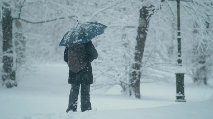 慢动作女人在暴风雪期间在公园里散步时踩着深雪