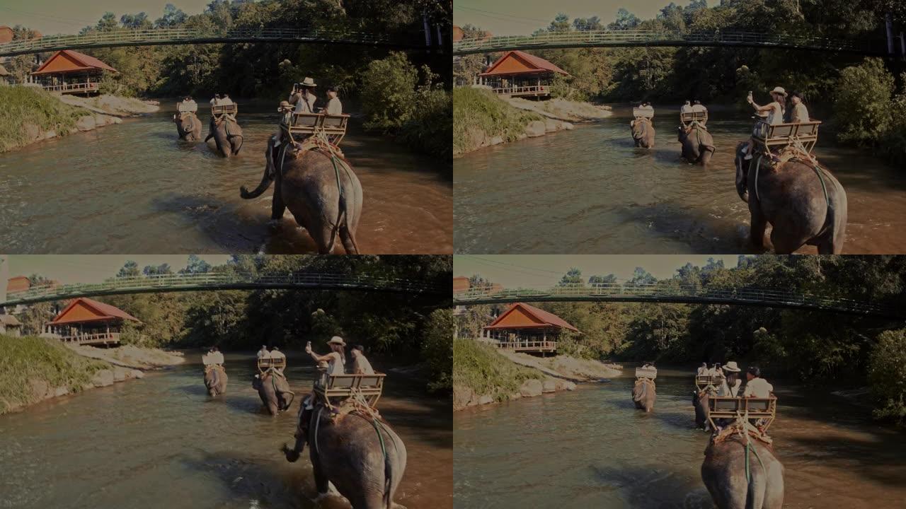 自然体验，大象骑行