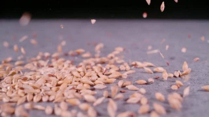 慢动作，特写: 慢动作中掉落的麦粒和亚麻籽