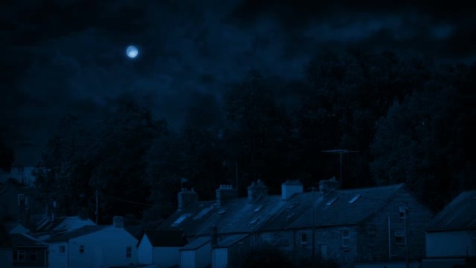 月亮下夜晚的一排房子