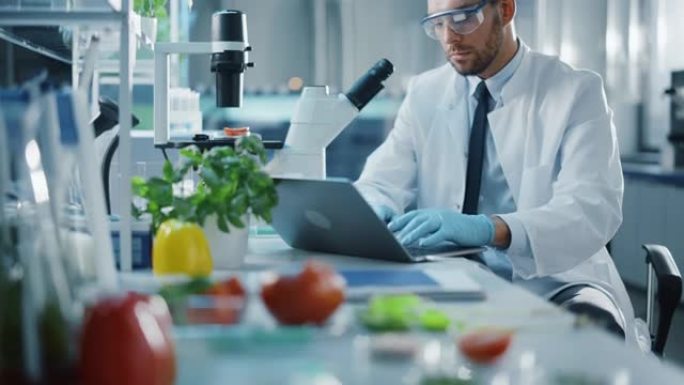 男性科学家在笔记本电脑上工作，并通过显微镜分析实验室种植的番茄。微生物学家使用技术设备在现代实验室中