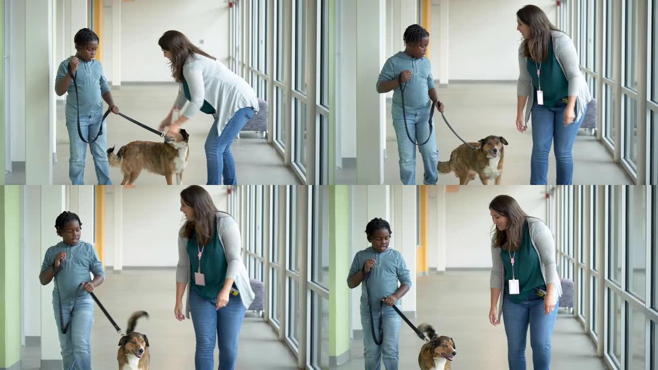 动物收容所的志愿者帮助男孩walk狗