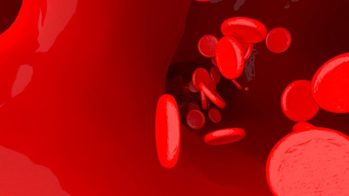 血管红细胞流动动画