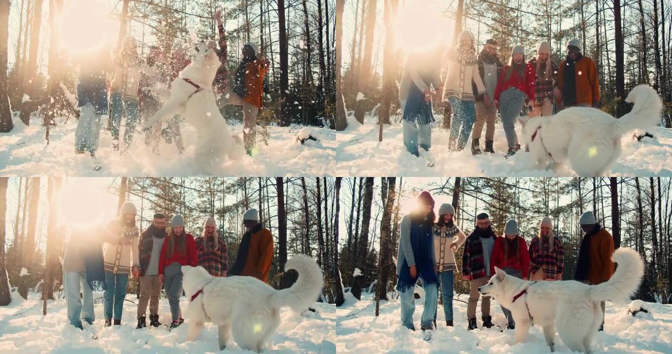 冬季乐趣。一群快乐有趣的多民族朋友玩雪，大白狗跳上森林徒步慢动作。