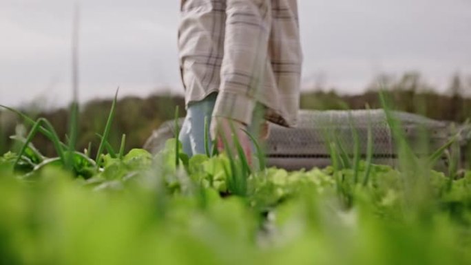 女人走路时触摸植物