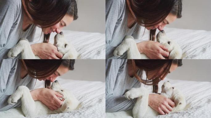 一个年轻女子的真实特写手爱抚拉布拉多寻回犬的血统小狗，同时在床上玩得开心。