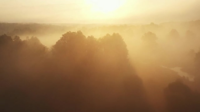 无人机飞越令人难以置信的日出雾谷，树木和河流，在惊人的温暖的夏日黎明覆盖着浓雾。