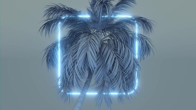 棕榈树之间的霓虹方形框架。