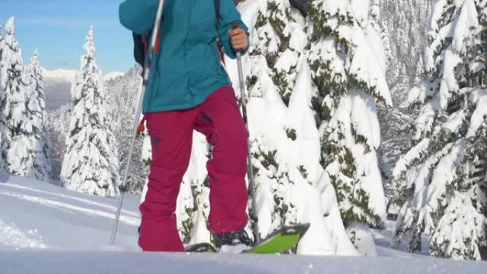 低角度: 女人在偏远地区的深层粉末雪中滑雪旅行。