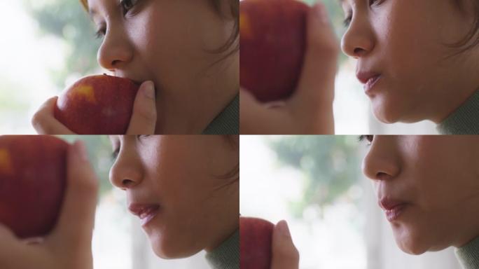 有机苹果减肥低热量零食水果免疫维生素。