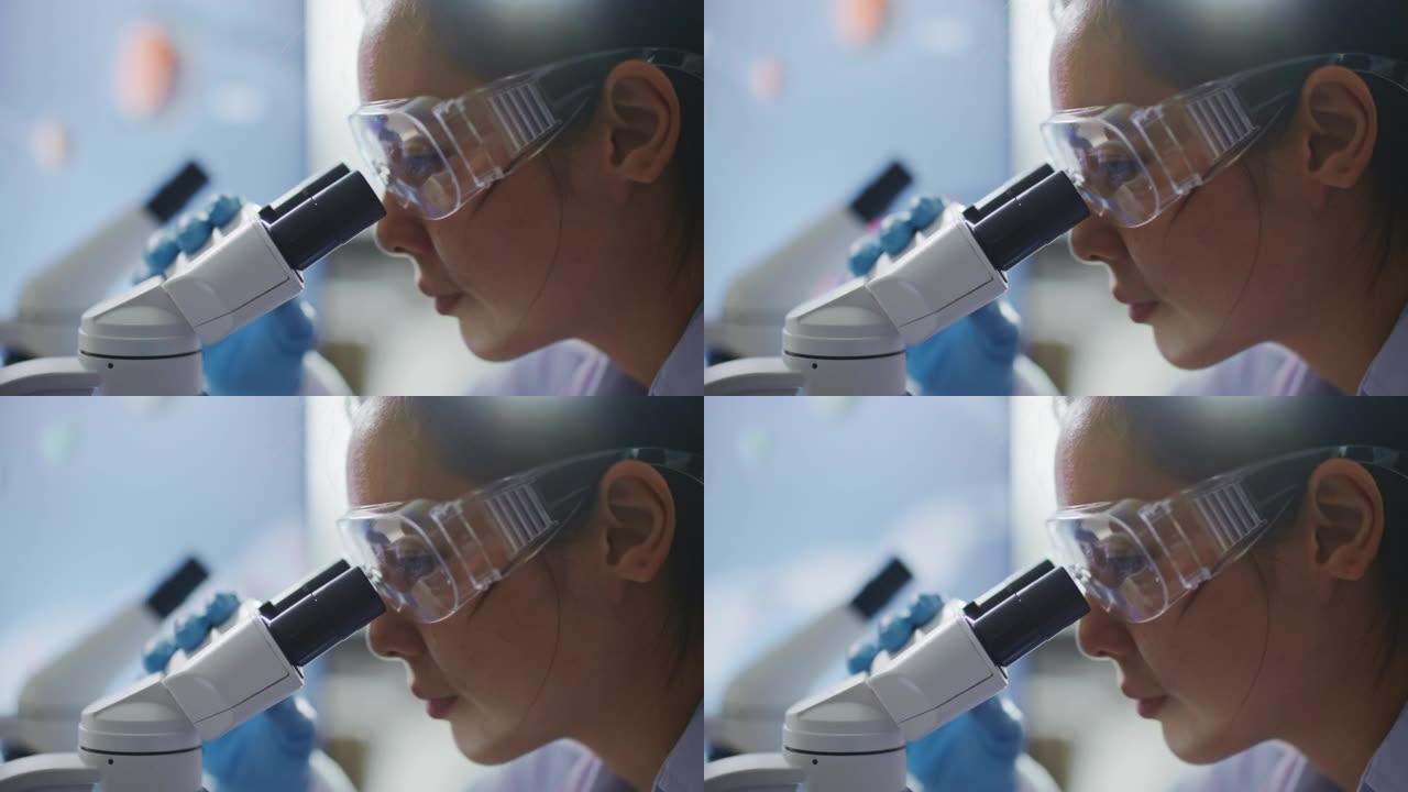医学科学实验室科学家在显微镜下观察样品
