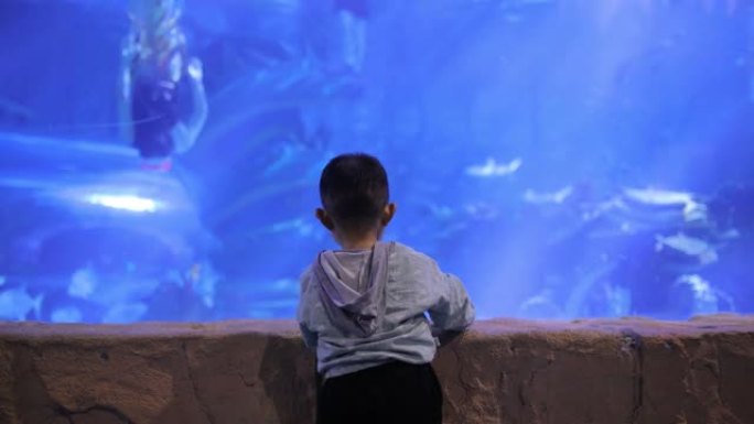 在水族馆里寻找鱼的小男孩