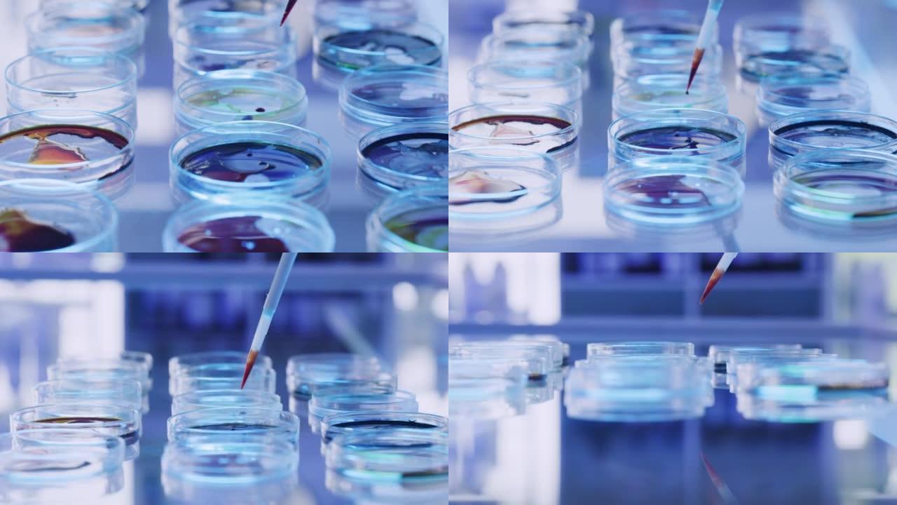 在研究实验室的桌子上，一个注射器和玻璃盘子或培养皿的特写与彩色的样品。在实验室中使用玻璃器皿进行病毒
