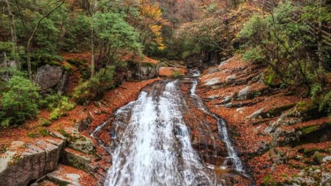 秋天的山谷里，瀑布流淌着落叶