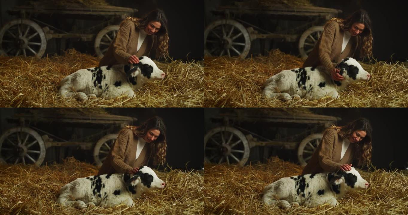 在乡村奶牛场的牛棚马stable中，年轻的女农场主的电影镜头正以爱与关怀的方式爱抚着生态生长的新生小