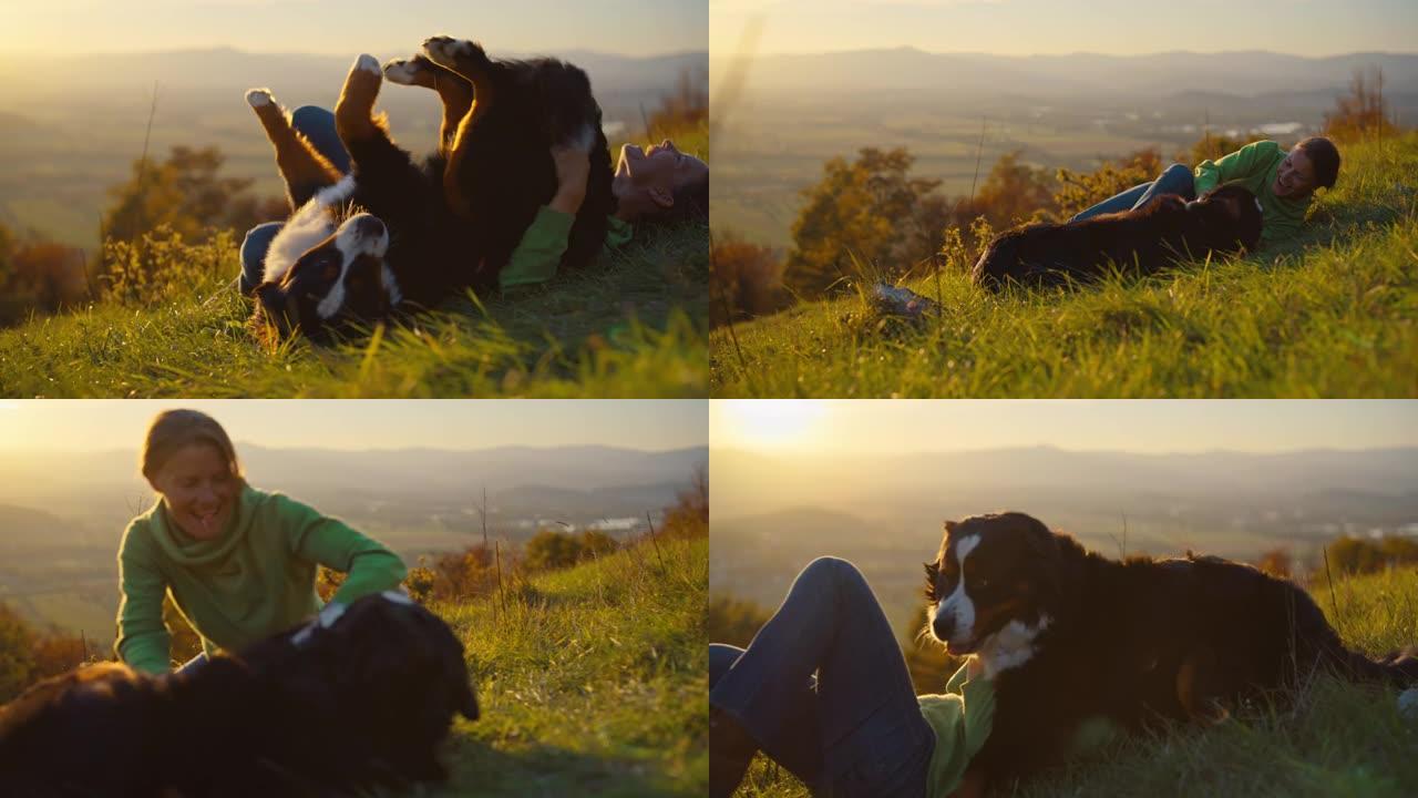 日落时，SLO MO女人在山上的草地上与狗一起玩很有趣
