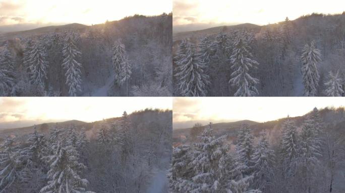 空中: 冬季早晨的阳光照耀着被新鲜积雪覆盖的乡村景观。