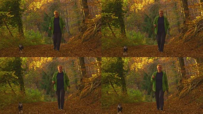 慢动作: 老年妇女和她的微型pinscher探索秋天的森林。