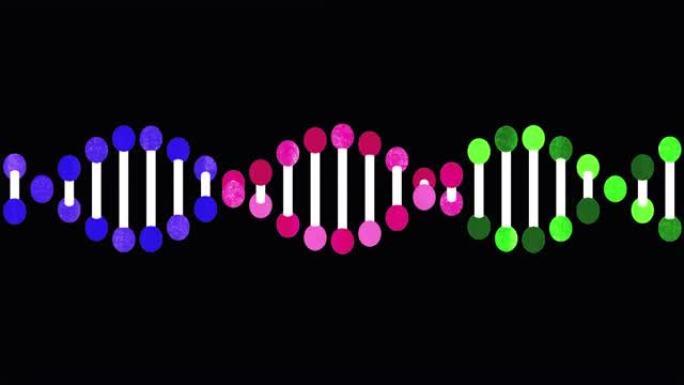 遗传DNA结构可环