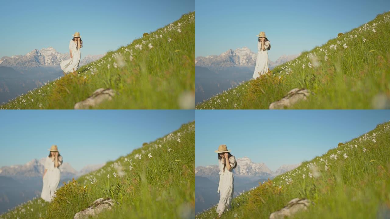 穿着白色长裙的SLO MO年轻女子在满是水仙花的草地上散步时戴着帽子