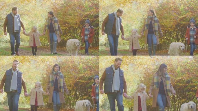带着宠物金毛猎犬的家庭牵着手在秋天的乡村散步