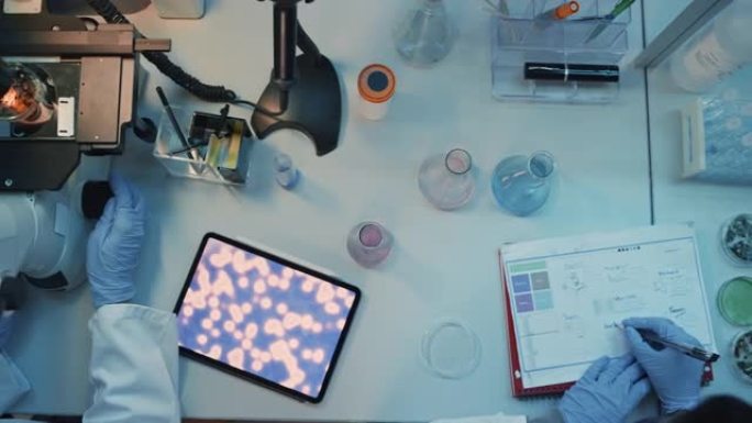 在现代实验室的桌子后面，戴着蓝色橡胶手套的医学研究科学家的头部摄像机镜头。实验室助理比较样品，使用平