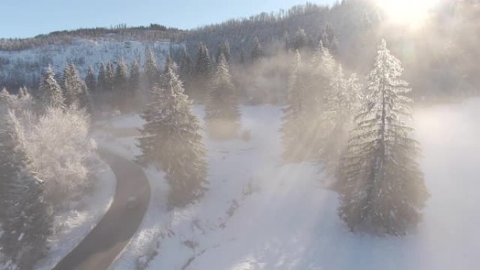 无人机: 金色的冬季阳光照在风景秀丽的偏远地区的树林上。