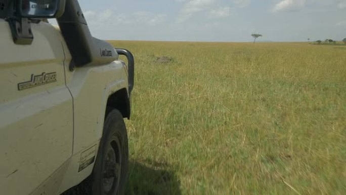 吉普车驶过非洲野生动物园