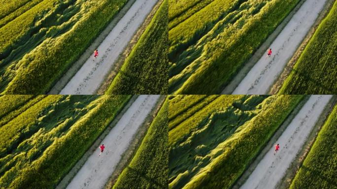 在草地环绕的土路上慢跑的男运动员的头顶鸟瞰图，跟踪户外追逐的镜头