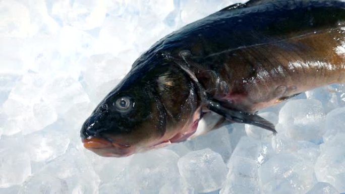 鱼柜台的冰上鱼