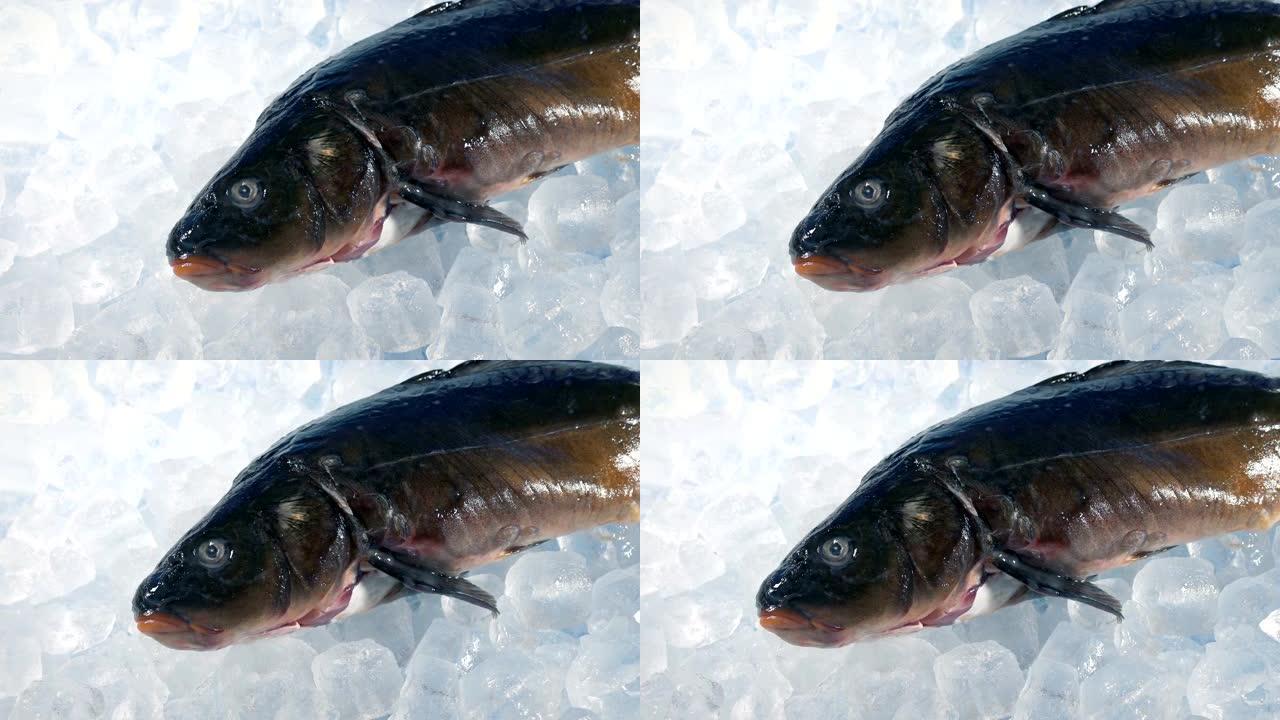 鱼柜台的冰上鱼