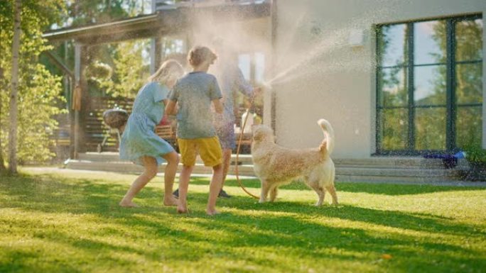 父亲，女儿，儿子与忠诚的金毛猎犬一起玩，狗试图从花园水管中取水。一家人一起在户外度过快乐的时光。阳光